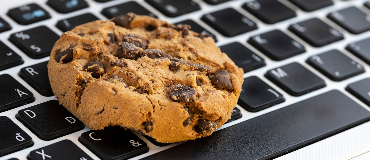 Website Cookie Policy For Traveler’s Inn Williams